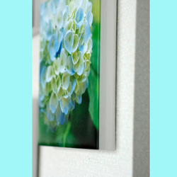 お部屋を彩る紫陽花のパネル（青、水色、白） 5枚目の画像