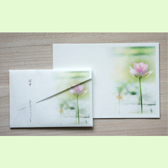 蓮田に咲いたピンクの蓮のお手紙セット 2枚目の画像