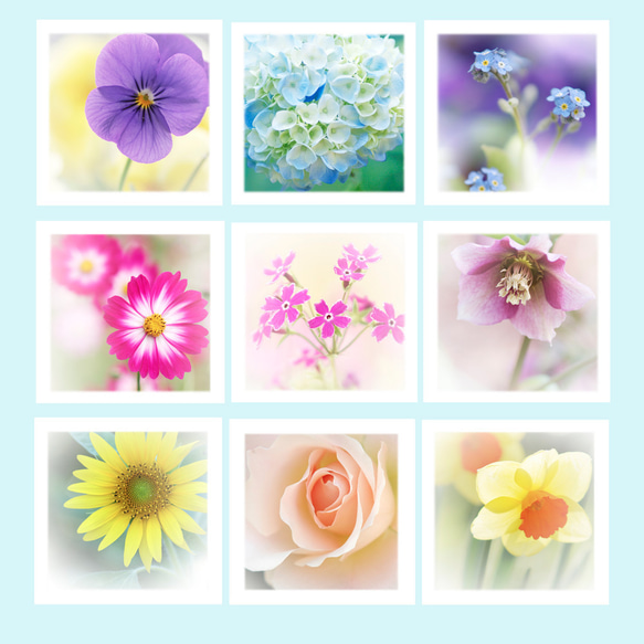 ９種類のお花柄から５種類選べる四角いメッセージカード（封筒付き）『Creema限定』 1枚目の画像