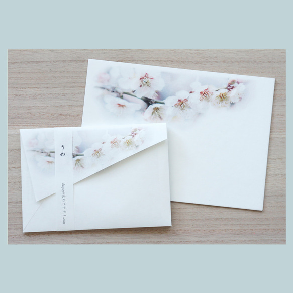 白い梅のお手紙セット 2枚目の画像
