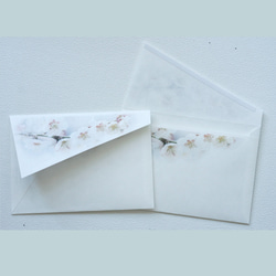 白い梅のお手紙セット 3枚目の画像