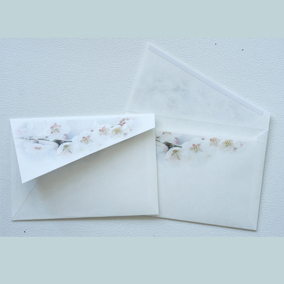 白い梅のお手紙セット 3枚目の画像
