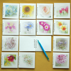 １３種類のお花の可愛いいメモ帳 1枚目の画像