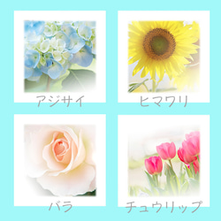 １３種類のお花の可愛いいメモ帳 2枚目の画像