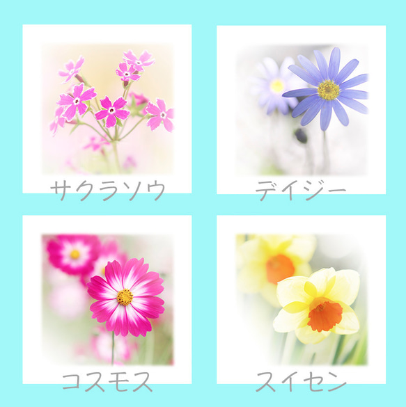 １３種類のお花の可愛いいメモ帳 3枚目の画像