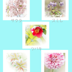 １３種類のお花の可愛いいメモ帳 4枚目の画像