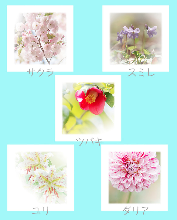 １３種類のお花の可愛いいメモ帳 4枚目の画像