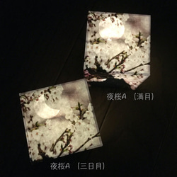 夜桜（コイン電池式） 2枚目の画像