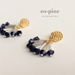 Stick & SWAROVSKI beads fringe pierce_PIC018 1枚目の画像