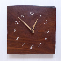 ペリコプシスの時計 30㎝ 002s 1枚目の画像