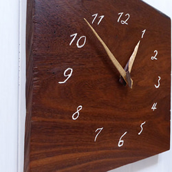 ペリコプシスの時計 30㎝ 002s 2枚目の画像