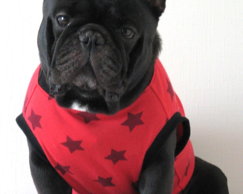 フレンチブルドック服 タンクトップ 赤 星柄 ペット服・アクセサリー