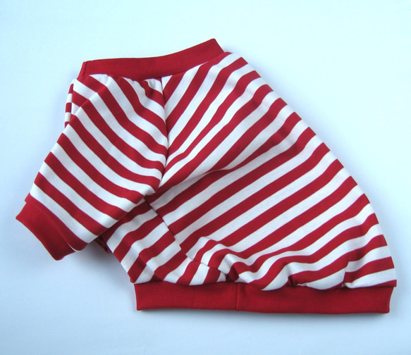 フレンチブルドック服　ラグラン　シンプルボーダー　赤×白 3枚目の画像