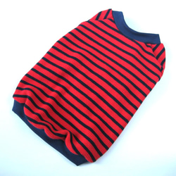フレンチブルドック服　ラグラン　シンプルボーダー　赤×ネイビー 2枚目の画像