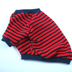 フレンチブルドック服　ラグラン　シンプルボーダー　赤×ネイビー 3枚目の画像