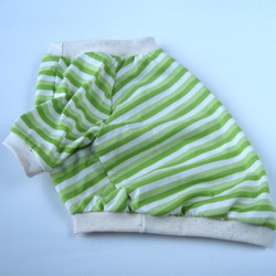 フレンチブルドック服　ラグラン　シンプルボーダー　グリーン 3枚目の画像