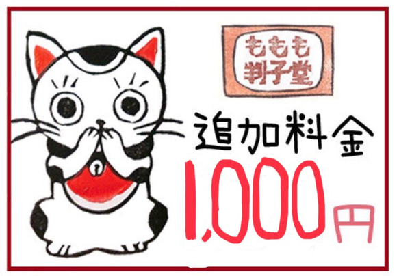 追加料金1000円用 1枚目の画像