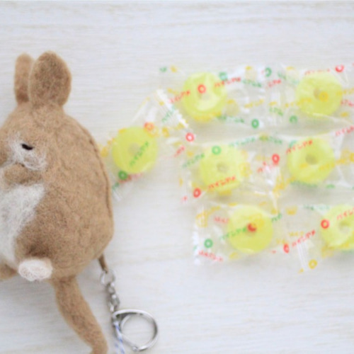 羊毛フェルト・ビスカッチャポーチ ポーチ junjun 通販 11550970