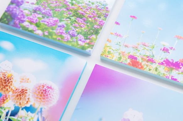 SQU4RE-スクエア-【青空に花とくまこ】新生活を彩るインテリアフォト 6枚目の画像