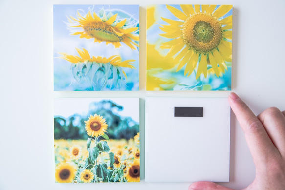 SQU4RE-スクエア-【太陽の花】おうちを彩るフォトタイル 5枚目の画像
