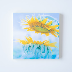 SQU4RE -Square- [向日葵] 裝飾你家的照片瓷磚 第7張的照片