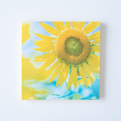 SQU4RE-スクエア-【太陽の花】おうちを彩るフォトタイル 8枚目の画像