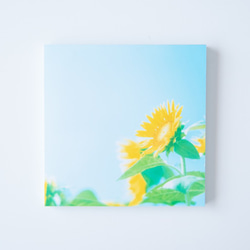 SQU4RE -Square- [向日葵] 裝飾你家的照片瓷磚 第10張的照片