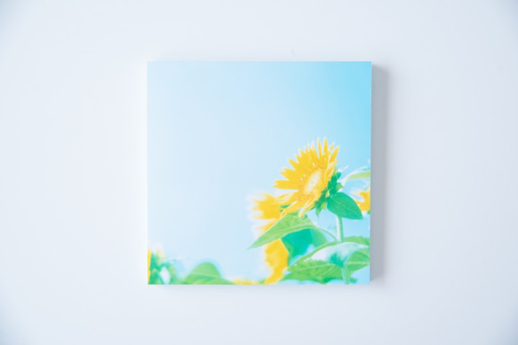 SQU4RE-スクエア-【太陽の花】おうちを彩るフォトタイル 10枚目の画像