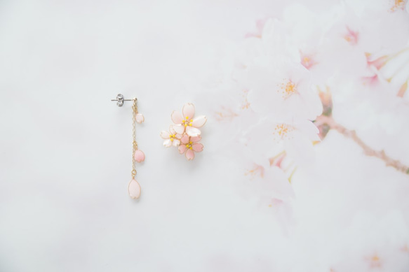 【桜-Full*Bloom-】春を着飾るピアス※飾れるフォトパネル付！ 3枚目の画像