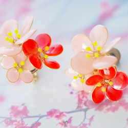 【梅-Full*Bloom-】冬を着飾るイヤリング※飾れるフォトパネル付！ 3枚目の画像