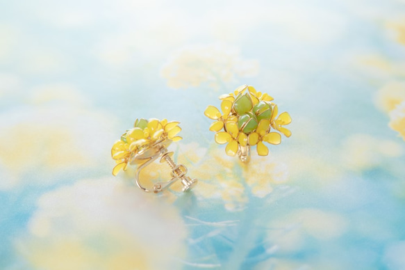 【菜の花-Full*Bloom-】春を着飾るイヤリング※飾れるフォトパネル付！ 3枚目の画像