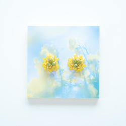 【菜の花-Full*Bloom-】春を着飾るイヤリング※飾れるフォトパネル付！ 4枚目の画像