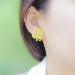 【菜の花-Full*Bloom-】春を着飾るイヤリング※飾れるフォトパネル付！ 5枚目の画像