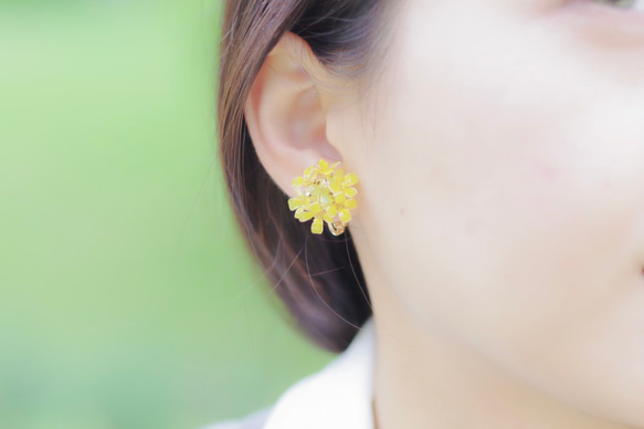 【菜の花-Full*Bloom-】春を着飾るイヤリング※飾れるフォトパネル付！ 5枚目の画像