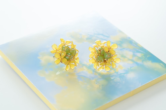 【菜の花-Full*Bloom-】春を着飾るイヤリング※飾れるフォトパネル付！ 6枚目の画像