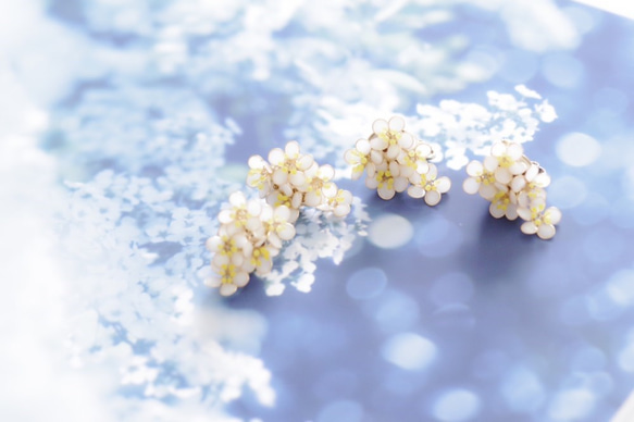 【雪柳-Full*Bloom-】春を着飾るイヤリング※飾れるフォトパネル付！ 1枚目の画像