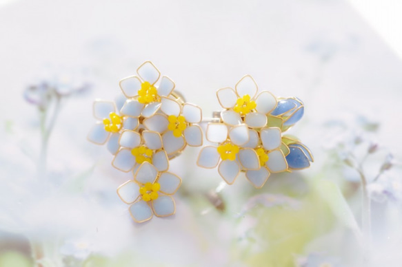 【勿忘草-Full*Bloom-】春を着飾るピアス※飾れるフォトパネル付！ 7枚目の画像