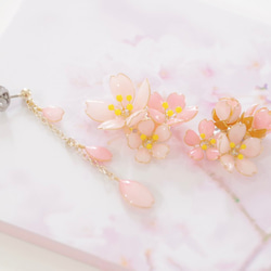 [Ouka Ranman -Full*Bloom-] 春天盛開的配飾 第1張的照片