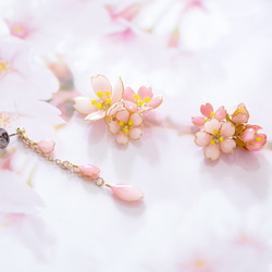 [Ouka Ranman -Full*Bloom-] 春天盛開的配飾 第3張的照片
