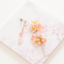 [Ouka Ranman -Full*Bloom-] 春天盛開的配飾 第4張的照片