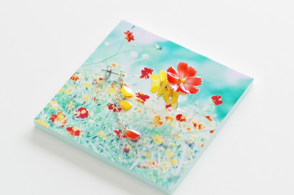 【キバナコスモス-Full*Bloom-】秋を着飾るピアス※飾れるフォトパネル付！ 3枚目の画像