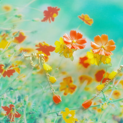 【キバナコスモス-Full*Bloom-】秋を着飾るピアス※飾れるフォトパネル付！ 5枚目の画像