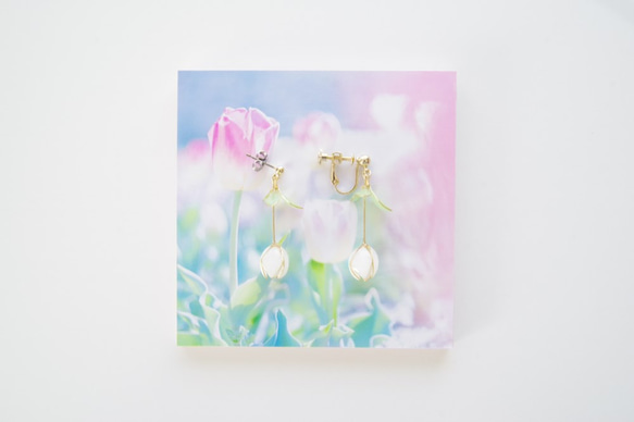 [鬱金香x白色-滿*花朵-]裝飾春天的耳環*用照片裝飾面板！ 第1張的照片