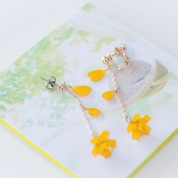 [萬壽菊-全*盛開-]耳環，用於裝飾春季和秋季*帶有照片裝飾面板！ 第7張的照片