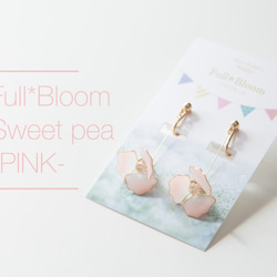 スイートピー-PINK-【Full*Bloom】 1枚目の画像