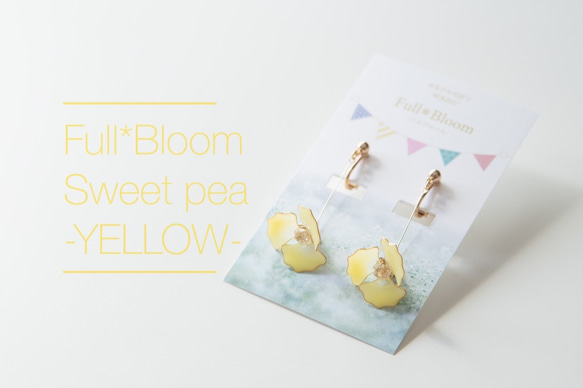 スイートピー-YELLOW-【Full*Bloom】 1枚目の画像
