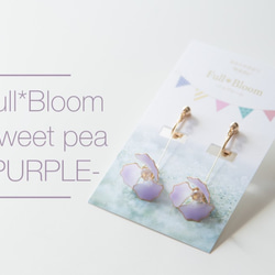 スイートピー-PURPLE【Full*Bloom】 1枚目の画像