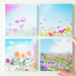SQU4RE-スクエア-【青空に花】新生活を彩るインテリアフォト 1枚目の画像