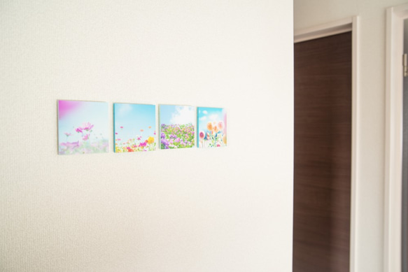 SQU4RE-スクエア-【青空に花】新生活を彩るインテリアフォト 3枚目の画像