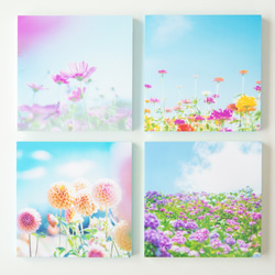 SQU4RE-スクエア-【青空に花】新生活を彩るインテリアフォト 5枚目の画像